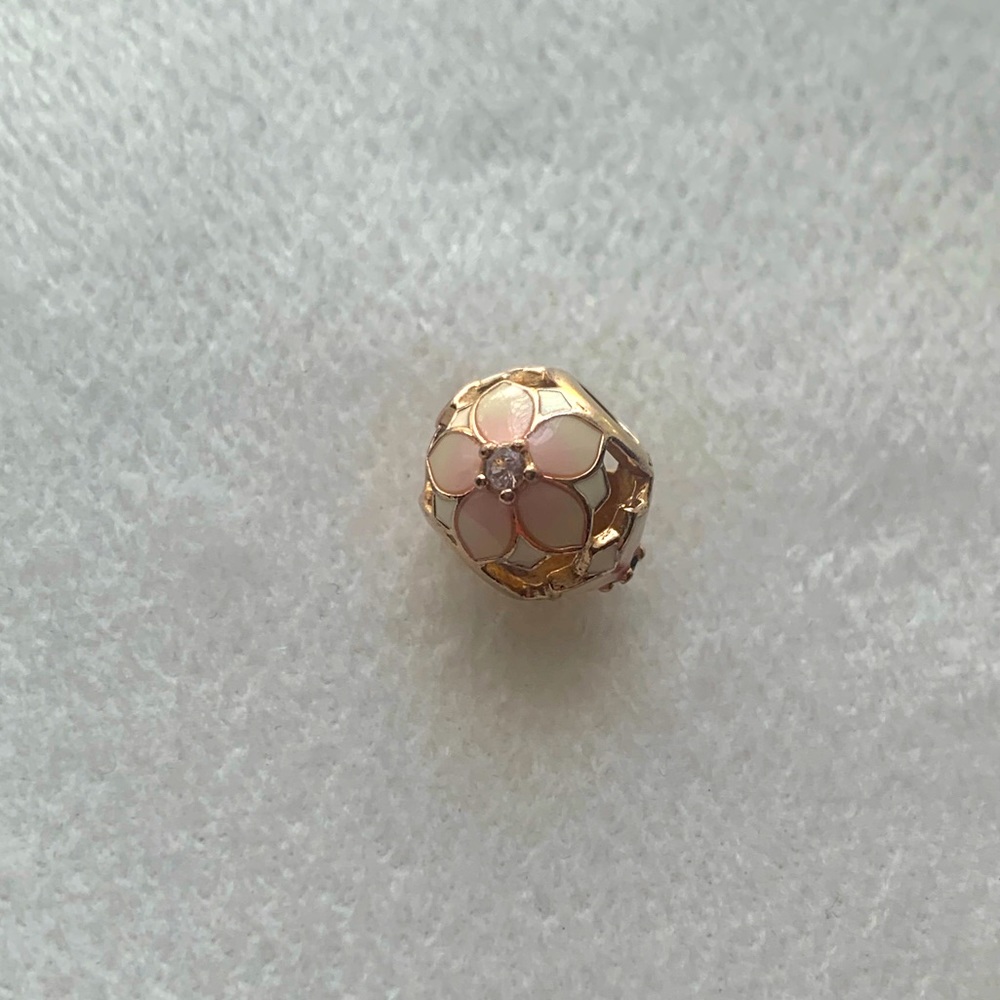 Pandora charm